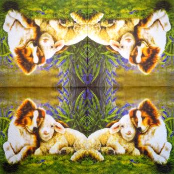 350 Dogs - 3-ply - Specials